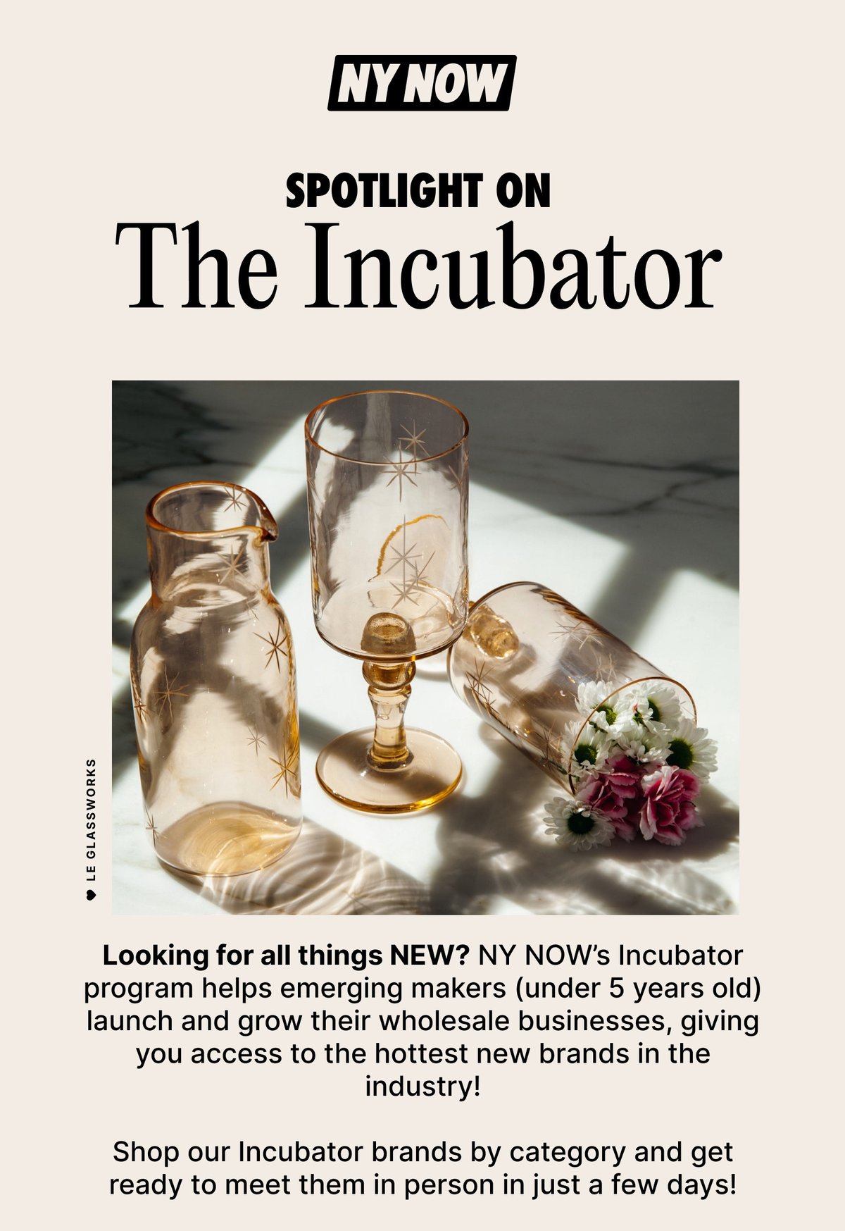 Spotlight on: The Incubator