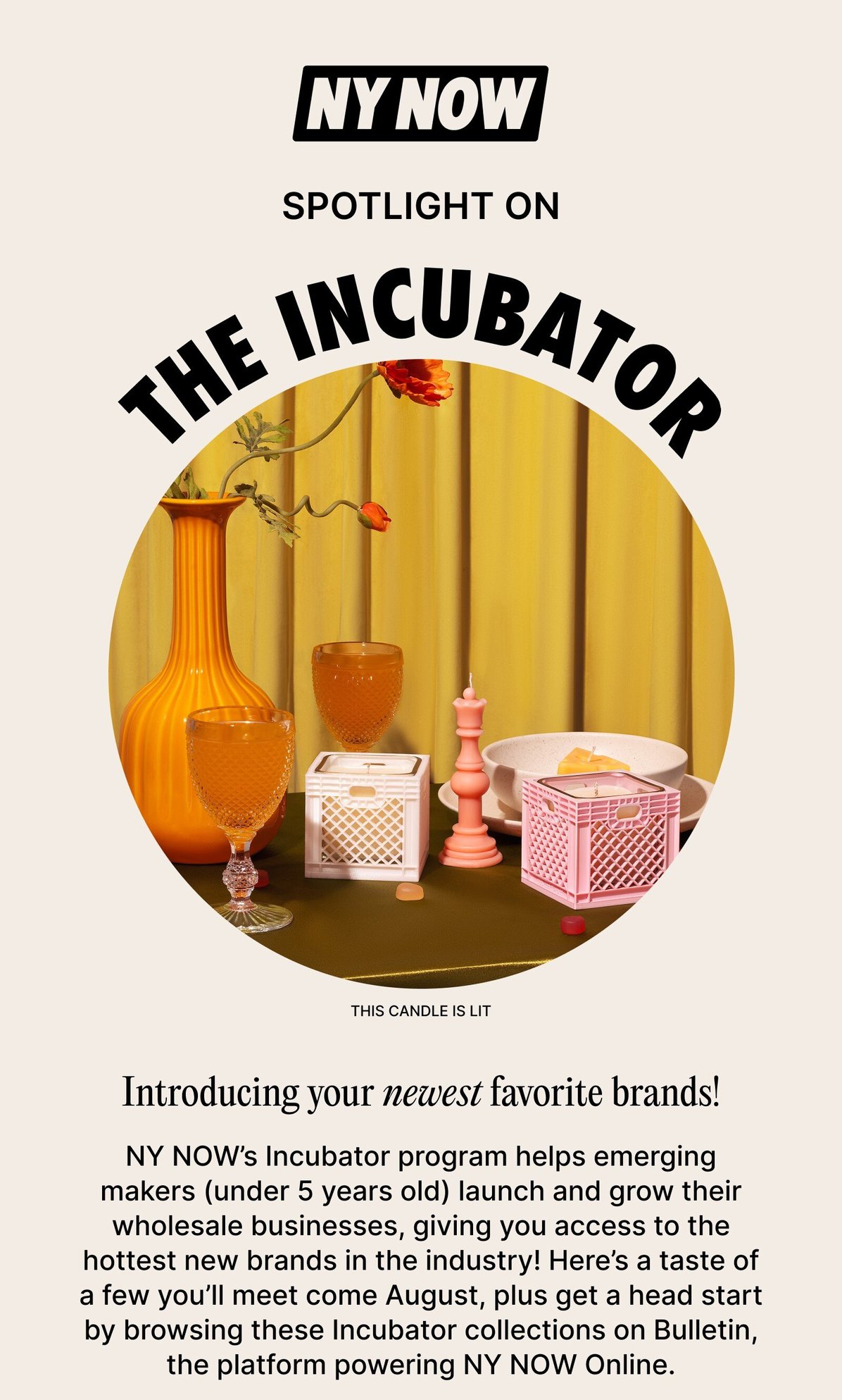 Spotlight on The Incubator